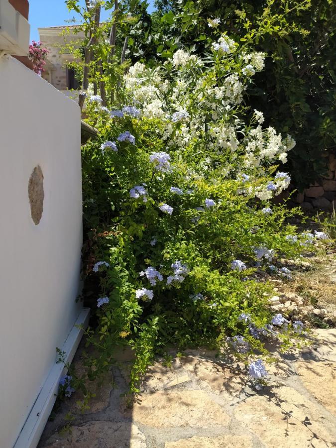 Latmos 1860 Villa Skála Dış mekan fotoğraf